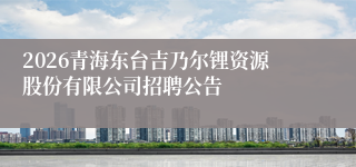 2026青海东台吉乃尔锂资源股份有限公司招聘公告