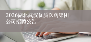 2026湖北武汉优质医药集团公司招聘公告
