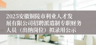 2025安徽铜陵市利业人才发展有限公司招聘派遣制专职财务人员（出纳岗位）拟录用公示