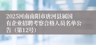 2025河南南阳市唐河县属国有企业招聘考察合格人员名单公告（第12号）