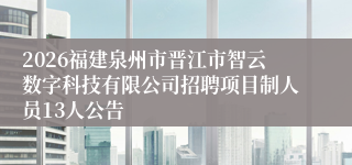 2026福建泉州市晋江市智云数字科技有限公司招聘项目制人员13人公告
