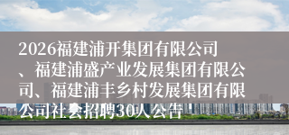 2026福建浦开集团有限公司、福建浦盛产业发展集团有限公司、福建浦丰乡村发展集团有限公司社会招聘30人公告