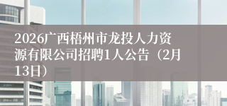 2026广西梧州市龙投人力资源有限公司招聘1人公告（2月13日）