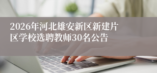 2026年河北雄安新区新建片区学校选聘教师30名公告