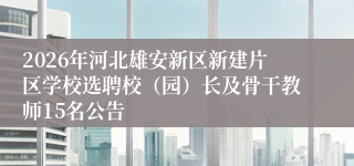 2026年河北雄安新区新建片区学校选聘校(园)长及骨干教师15名公告