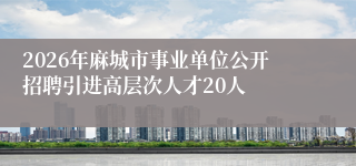 2026年麻城市事业单位公开招聘引进高层次人才20人