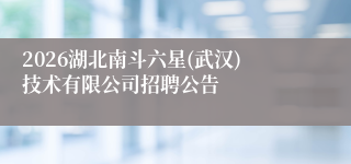 2026湖北南斗六星(武汉)技术有限公司招聘公告