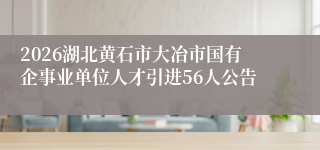 2026湖北黄石市大冶市国有企事业单位人才引进56人公告