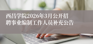 西昌学院2026年3月公开招聘事业编制工作人员补充公告