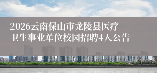2026云南保山市龙陵县医疗卫生事业单位校园招聘4人公告