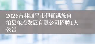 2026吉林四平市伊通满族自治县粮投发展有限公司招聘1人公告