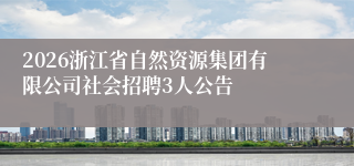 2026浙江省自然资源集团有限公司社会招聘3人公告