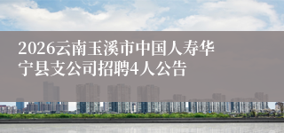 2026云南玉溪市中国人寿华宁县支公司招聘4人公告