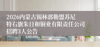 2026内蒙古锡林郭勒盟苏尼特右旗朱日和铜业有限责任公司招聘3人公告