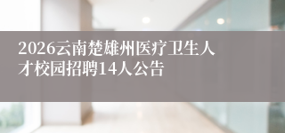 2026云南楚雄州医疗卫生人才校园招聘14人公告