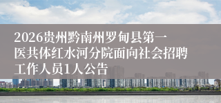 2026贵州黔南州罗甸县第一医共体红水河分院面向社会招聘工作人员1人公告