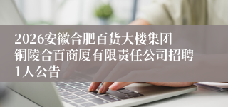 2026安徽合肥百货大楼集团铜陵合百商厦有限责任公司招聘1人公告
