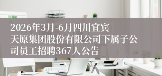 2026年3月-6月四川宜宾天原集团股份有限公司下属子公司员工招聘367人公告