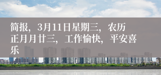 简报,3月11日星期三,农历正月月廿三,工作愉快,平安喜乐
