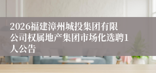 2026福建漳州城投集团有限公司权属地产集团市场化选聘1人公告