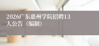 2026广东惠州学院招聘13人公告（编制）