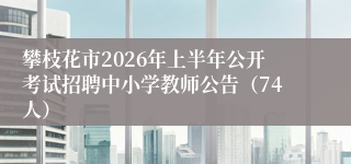 攀枝花市2026年上半年公开考试招聘中小学教师公告(74人)