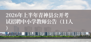2026年上半年青神县公开考试招聘中小学教师公告（11人）