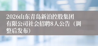 2026山东青岛新泊控股集团有限公司社会招聘8人公告（调整后发布）