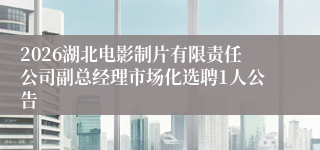 2026湖北电影制片有限责任公司副总经理市场化选聘1人公告