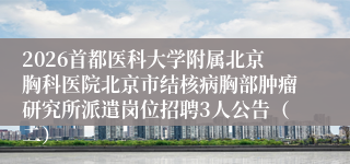 2026首都医科大学附属北京胸科医院北京市结核病胸部肿瘤研究所派遣岗位招聘3人公告(二)