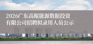 2026广东高鲲能源数据投资有限公司招聘拟录用人员公示