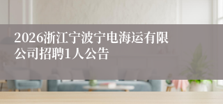 2026浙江宁波宁电海运有限公司招聘1人公告