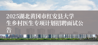 2025湖北黄冈市红安县大学生乡村医生专项计划招聘面试公告