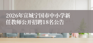 2026年宣城宁国市中小学新任教师公开招聘18名公告