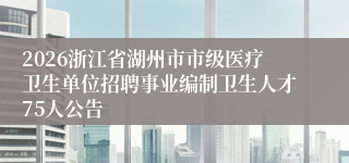 2026浙江省湖州市市级医疗卫生单位招聘事业编制卫生人才75人公告