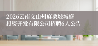 2026云南文山州麻栗坡城盛投资开发有限公司招聘6人公告