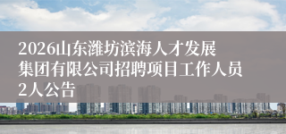 2026山东潍坊滨海人才发展集团有限公司招聘项目工作人员2人公告