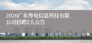 2026广东粤电信息科技有限公司招聘2人公告