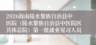 2026海南陵水黎族自治县中医院(陵水黎族自治县中医院医共体总院)第一批就业见习人员招聘3人公告