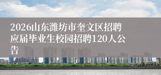 2026山东潍坊市奎文区招聘应届毕业生校园招聘120人公告