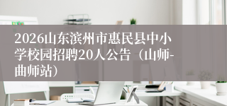 2026山东滨州市惠民县中小学校园招聘20人公告(山师-曲师站)
