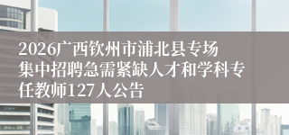 2026广西钦州市浦北县专场集中招聘急需紧缺人才和学科专任教师127人公告