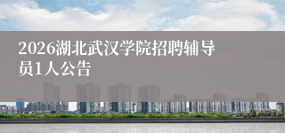 2026湖北武汉学院招聘辅导员1人公告