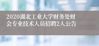 2020湖北工业大学财务处财会专业技术人员招聘2人公告