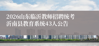 2026山东临沂教师招聘统考沂南县教育系统43人公告