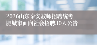 2026山东泰安教师招聘统考肥城市面向社会招聘30人公告