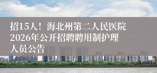 招15人!海北州第二人民医院2026年公开招聘聘用制护理人员公告