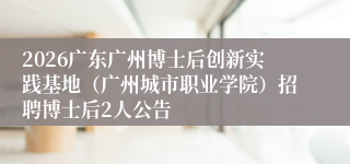 2026广东广州博士后创新实践基地（广州城市职业学院）招聘博士后2人公告