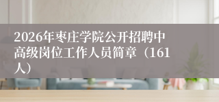 2026年枣庄学院公开招聘中高级岗位工作人员简章(161人)
