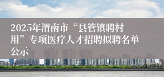 2025年渭南市“县管镇聘村用”专项医疗人才招聘拟聘名单公示